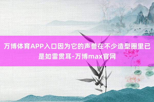 万博体育APP入口因为它的声誉在不少造型圈里已是如雷贯耳-万博max官网