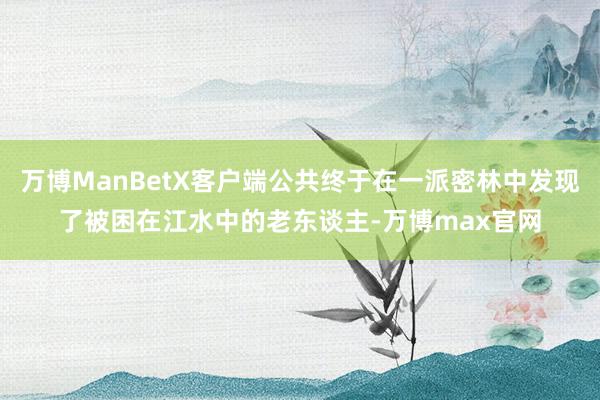 万博ManBetX客户端公共终于在一派密林中发现了被困在江水中的老东谈主-万博max官网